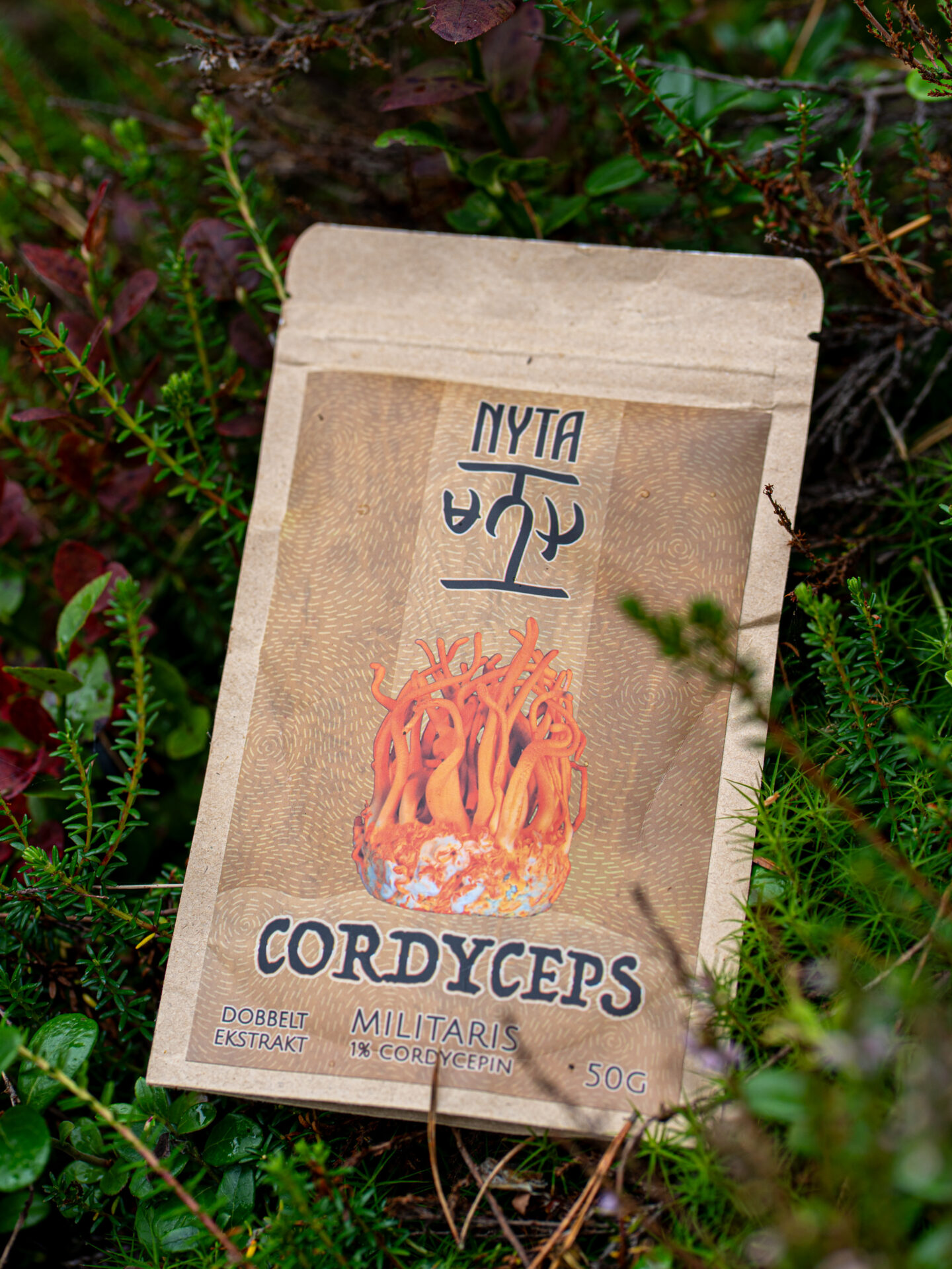 Cordyceps Ekstrakt 3