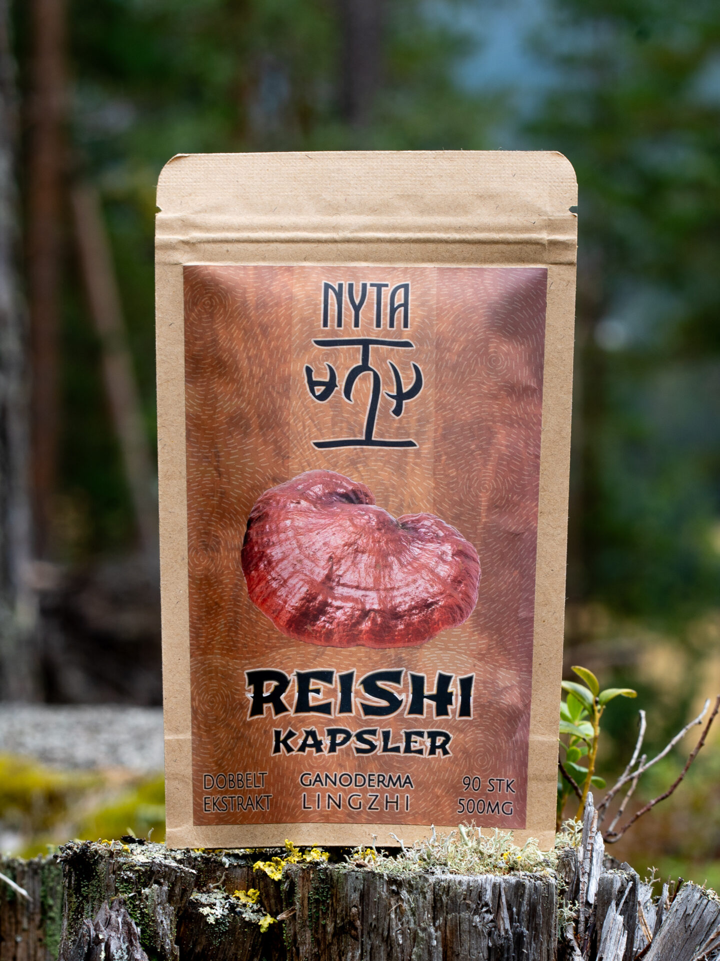 Reishi Ekstrakt 1