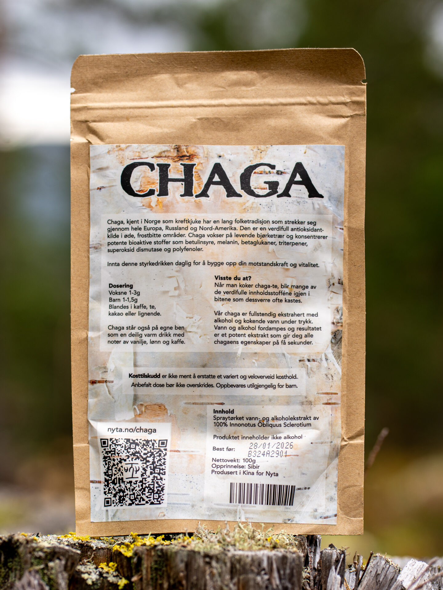 Chaga Ekstrakt 2