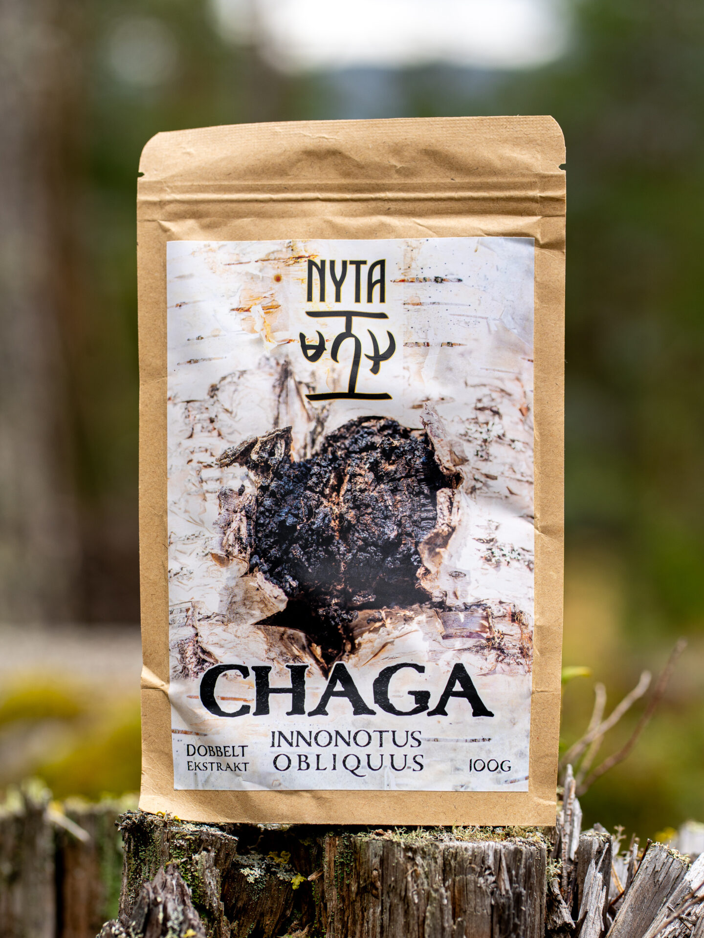 Chaga Ekstrakt 1